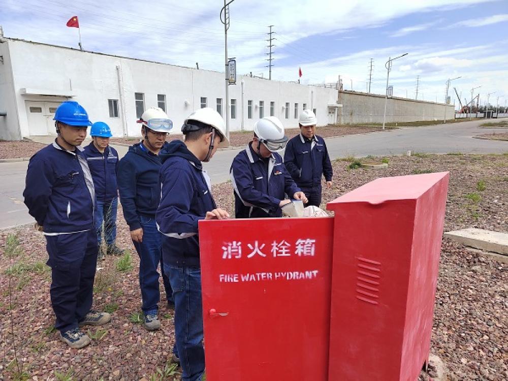 正版管家婆今晚资料